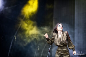 Last International-4325-Modifier