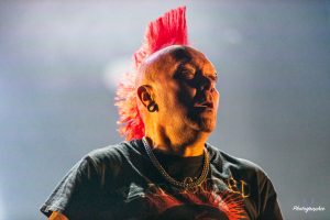 The Exploited-7933-Modifier