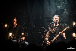 The Old Dead Tree--83
