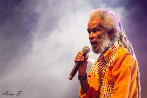 IMG_8019-7