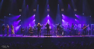 ElodieRoyPhotographe-8565