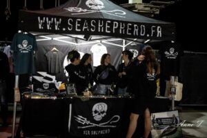 Resize of IMG_3284_DxO-9