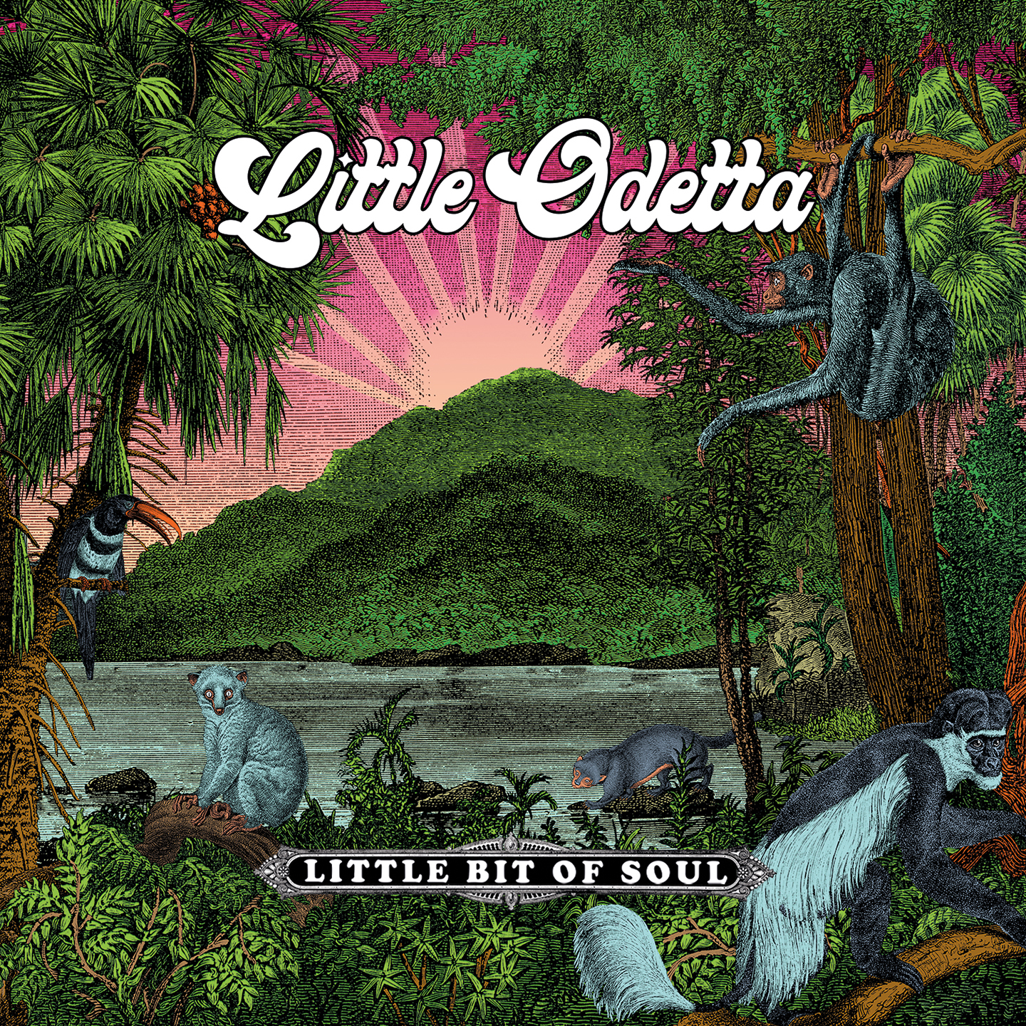 Cover album Little Bit Of Soul_Little Odetta