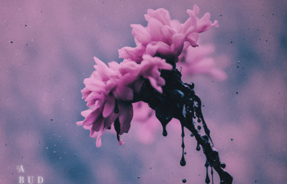 cover Gore. - A Bud That Never Blooms
