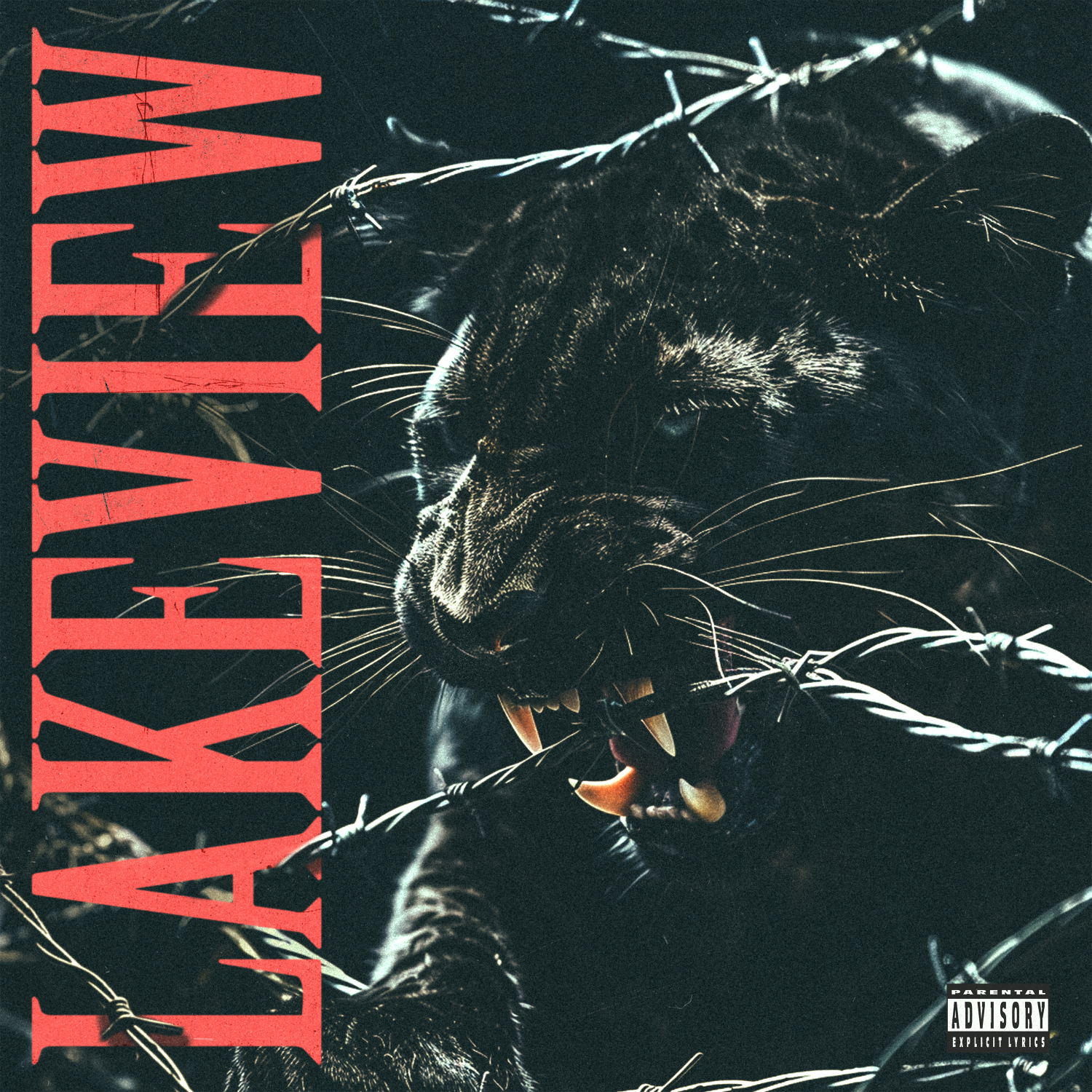 LAKEVIEW – Lakeview [Gravel Road]