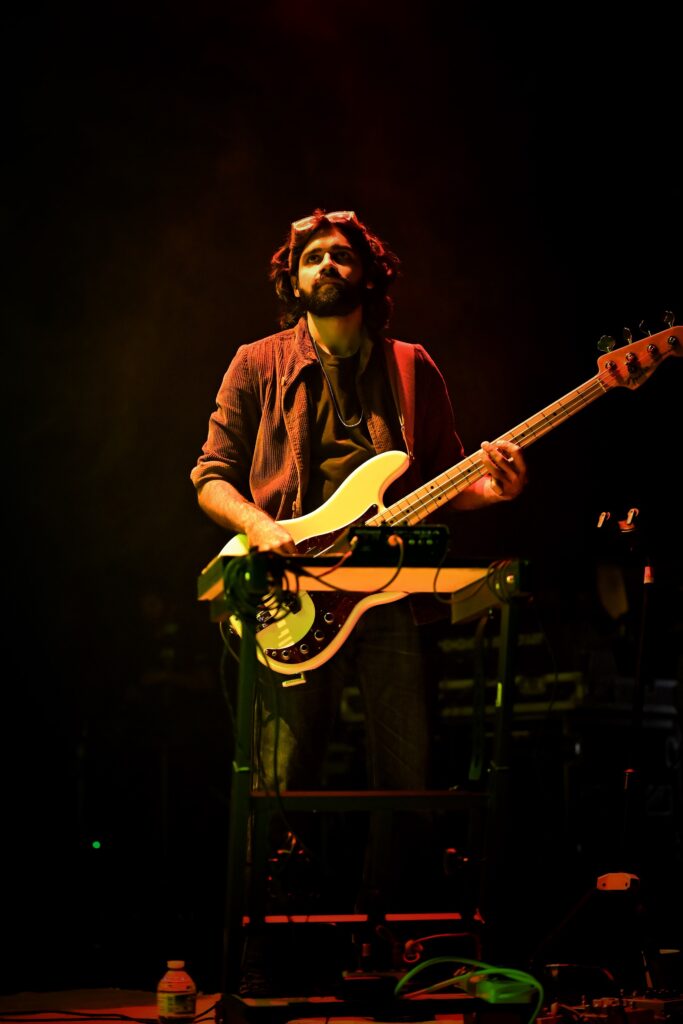 Peter_Cat_4131