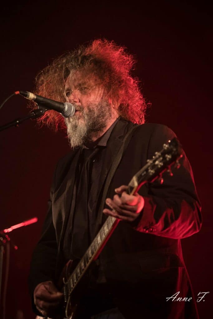 The Inspector Cluzo-1