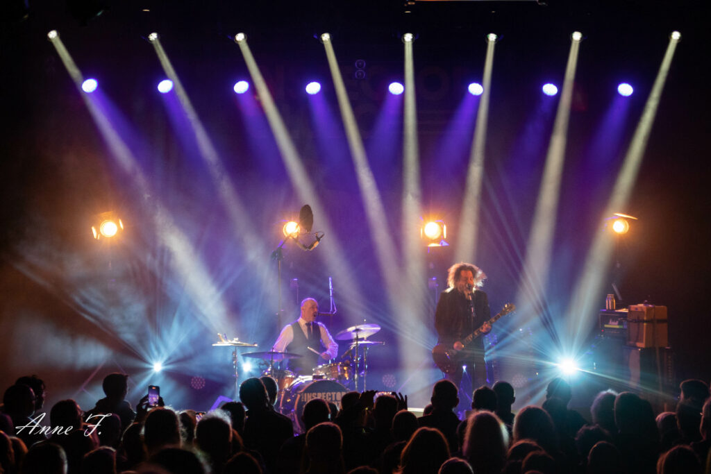 The Inspector Cluzo-20