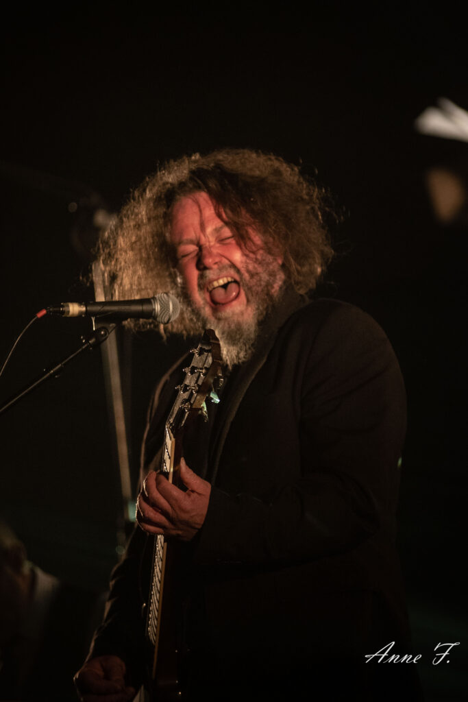 The Inspector Cluzo-6