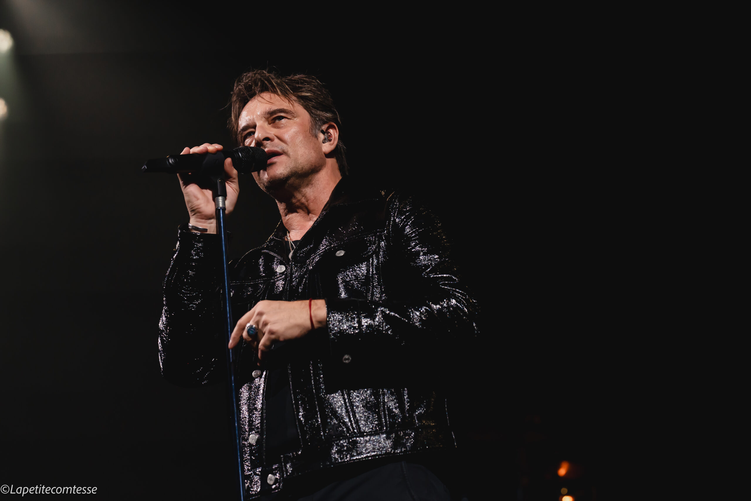 DAVID HALLYDAY – Palais des Sports – 13/11/2024