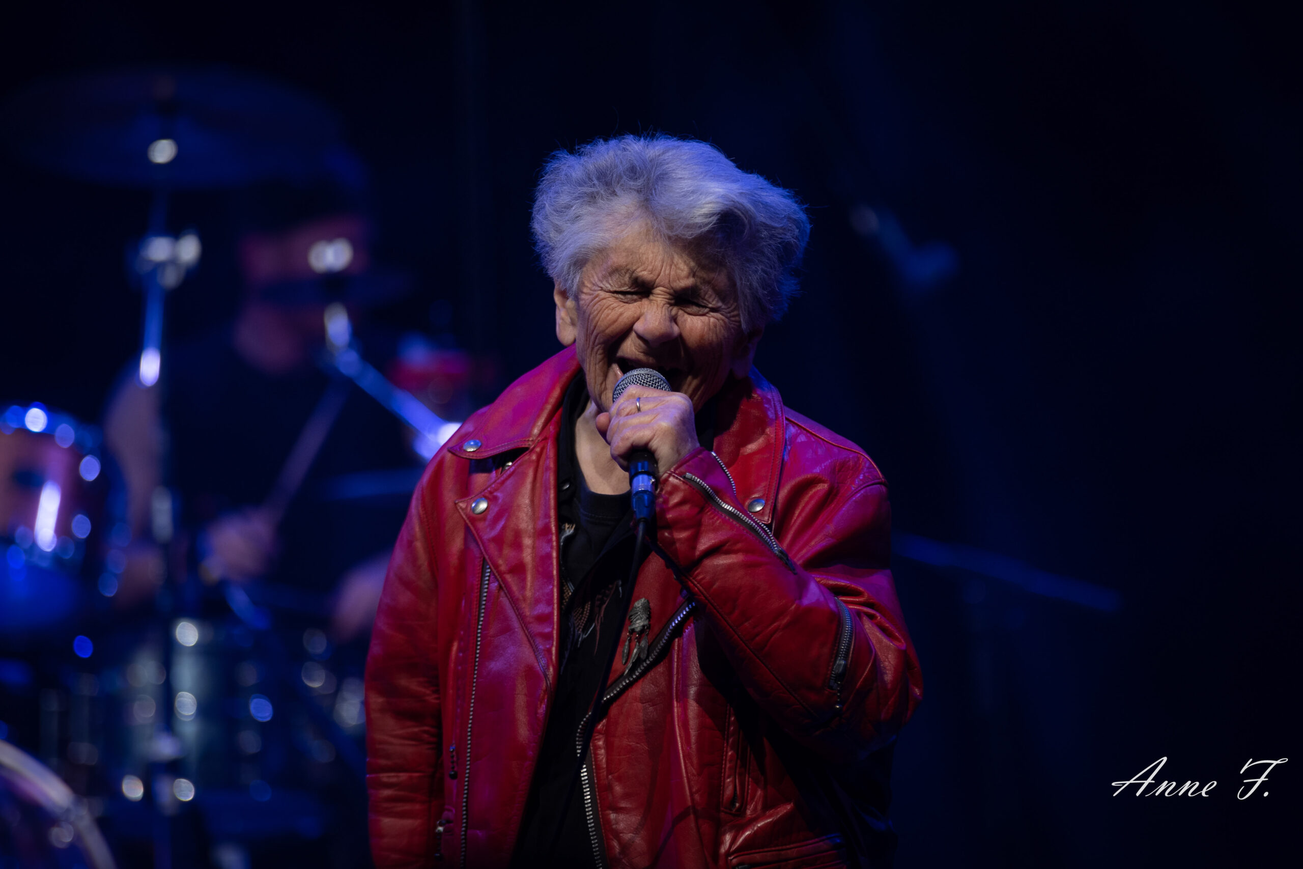 LITTLE BOB BLUES BASTARDS + KOMODRAG & THE MOUNODOR – Le Plan – 17/12/2024