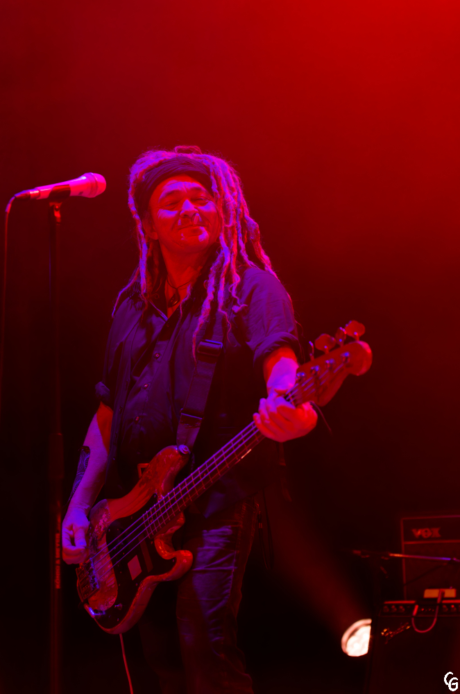 NS-LP-ML-Clem.dx3 (6)