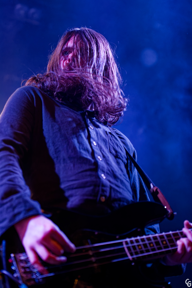 OD-LP-ML-Clem.dx3 (12)