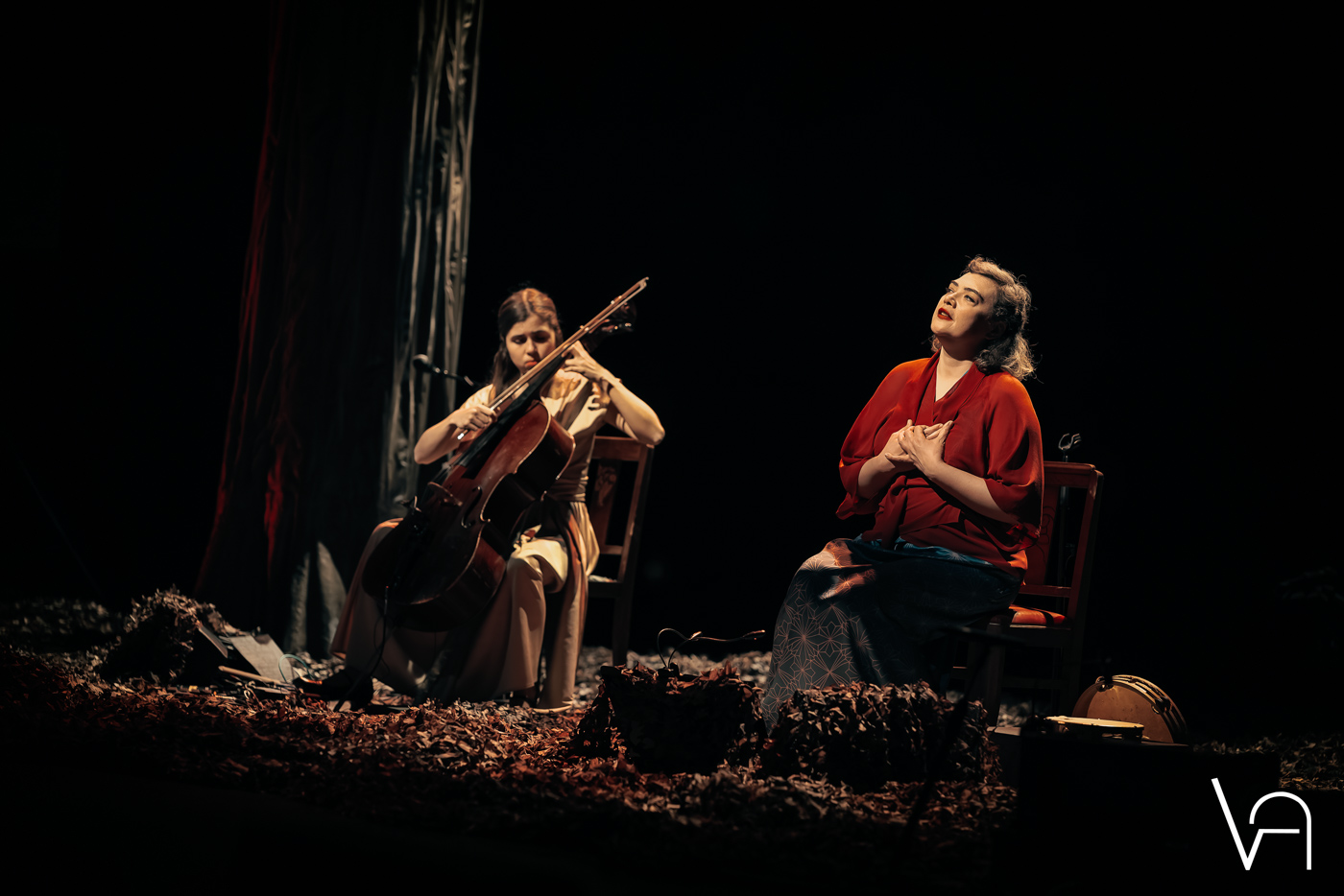 BIRDS ON A WIRE – Théâtre de Villefranche – 03/04/2025